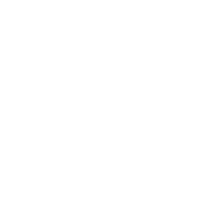 虎智科技 TigerAI